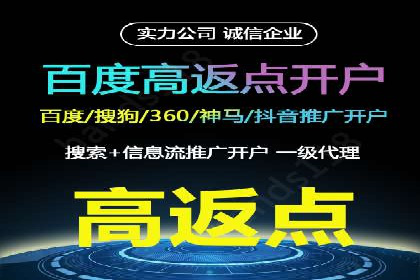 某公司网站sem托管项目纪实
